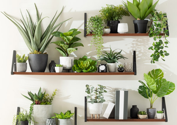 How to Decorate Floating Shelves, Plants